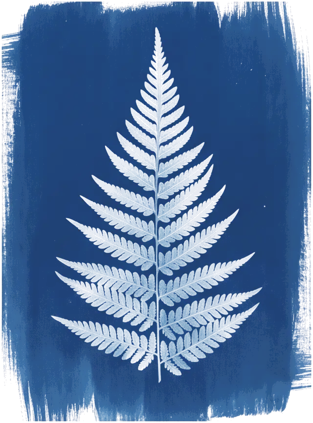A cyanotype of fern frond