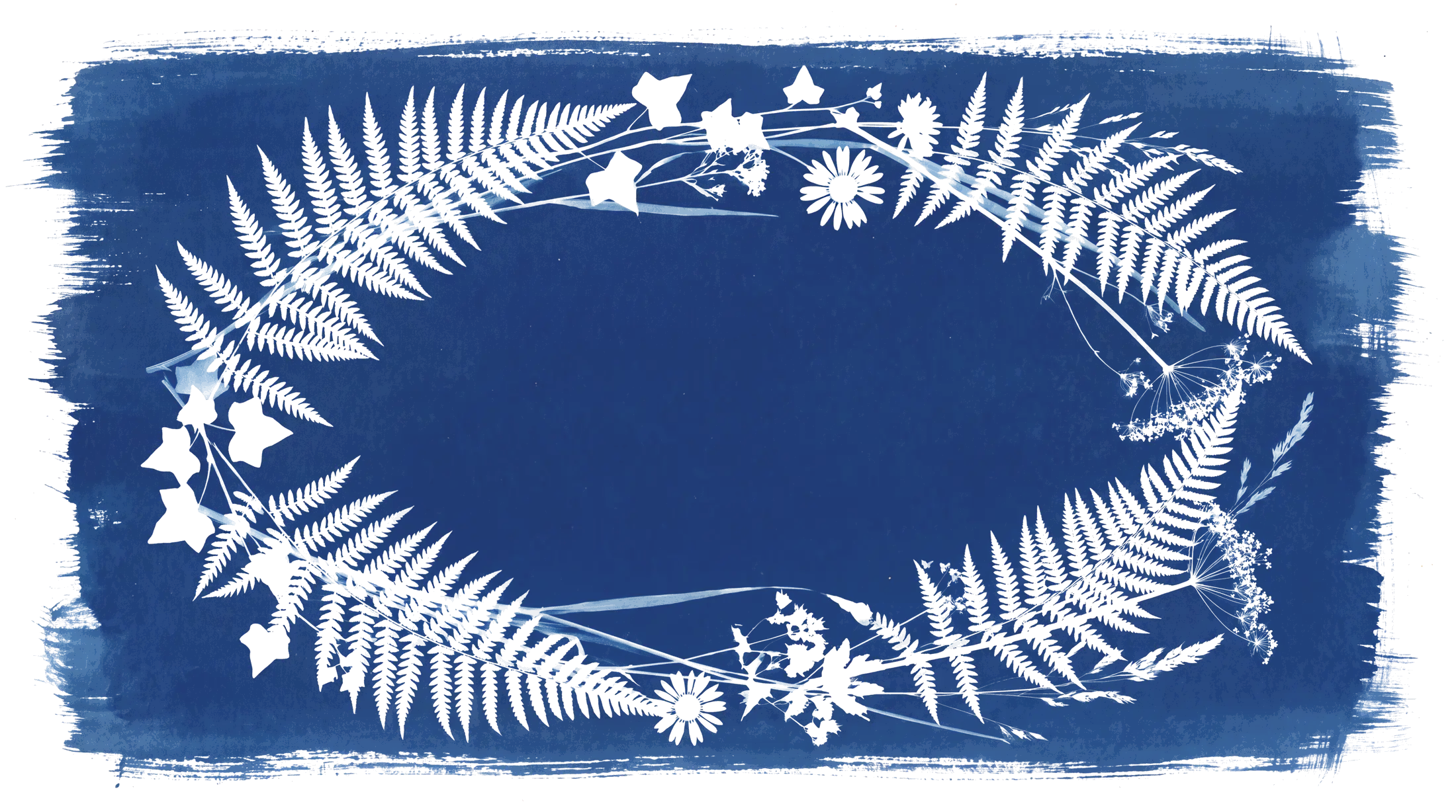 A cyanotype wreath of ferns, cow parsley, grasses and ivy