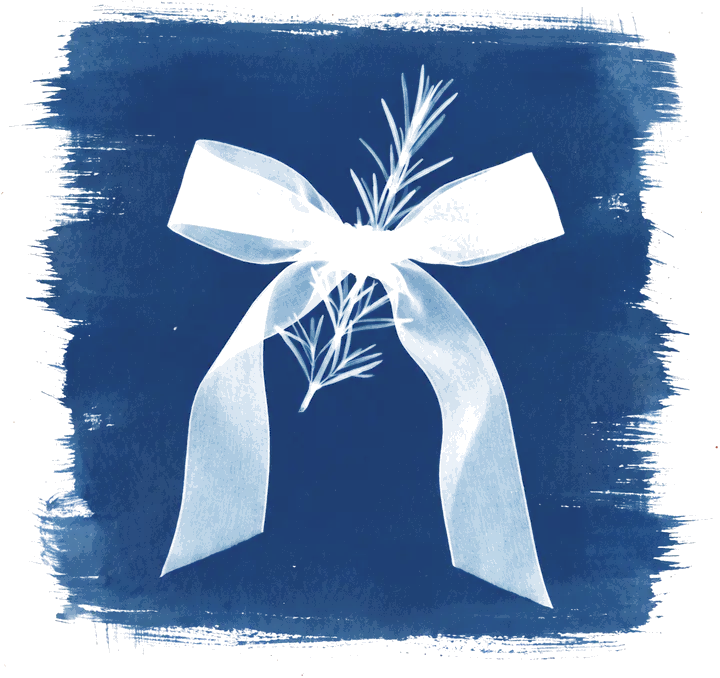 A cyanotype of a ribbon bow with a sprig of rosemary