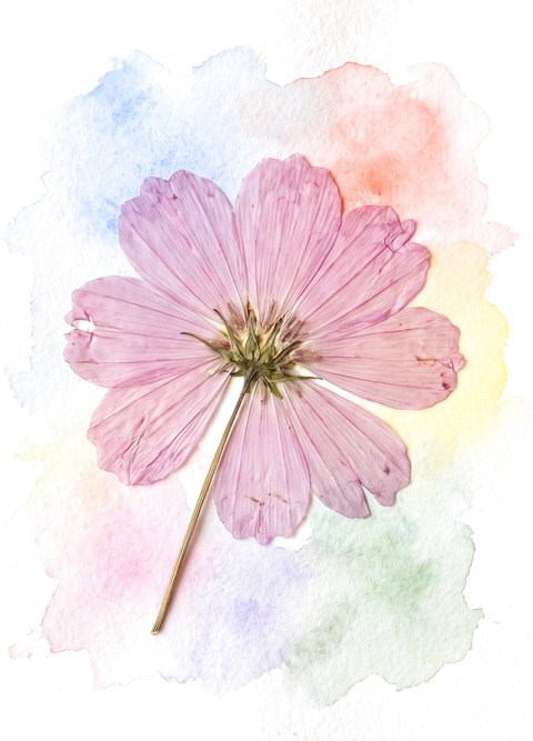 A pressed cosmos